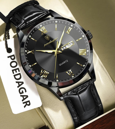 Poedagar consulius - poedagar, (mod: